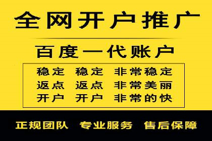 百度竞价代理实战：案例剖析与优化策略