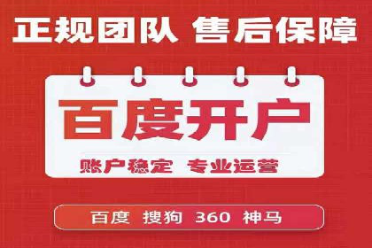 网络推广与竞价优化成功案例